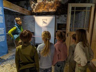 PXL_20260126_132712410