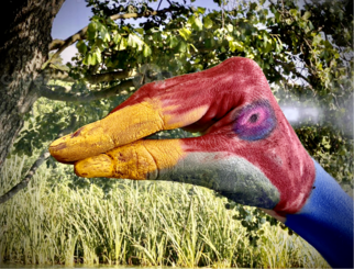 Vogel3