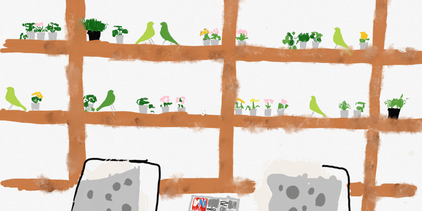 Titelbild_schule_Blick_Turnsaal