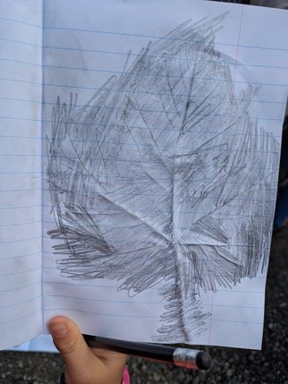 PXL_20250929_132927539