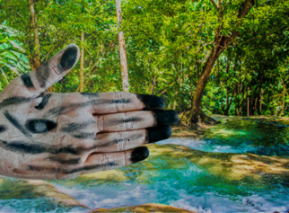 Zebra3