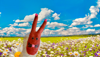 Hase1