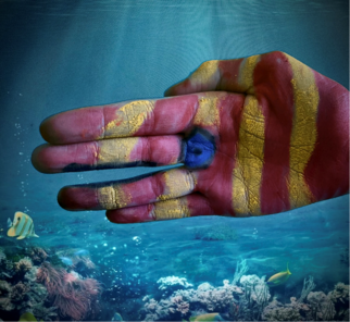 fisch2